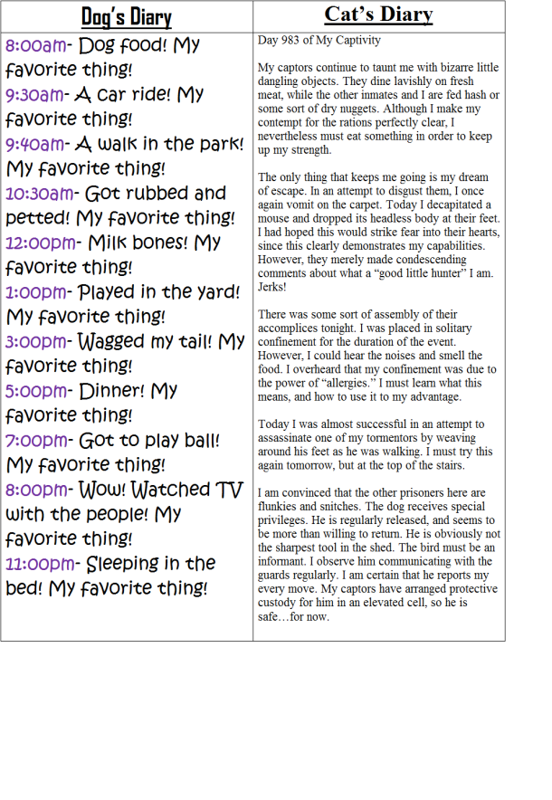 Cats diary